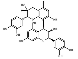 葡萄籽提取物