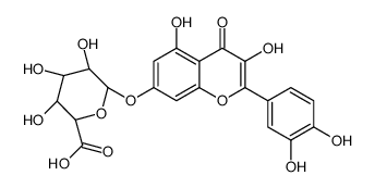 槲皮素7-O-β-D-葡糖醛酸