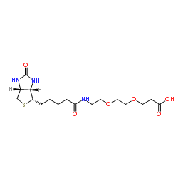 Biotin-PEG2-acid