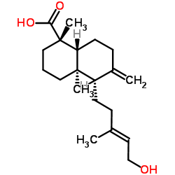 异柏油酸