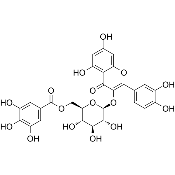 槲皮素3-O-(6''-没食子酰基)-β-D-葡萄糖苷