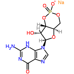 鸟苷3',5'-环一磷酸钠盐(cGMP)