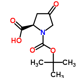 N-BOC-4-氧代-D-脯氨酸甲酯