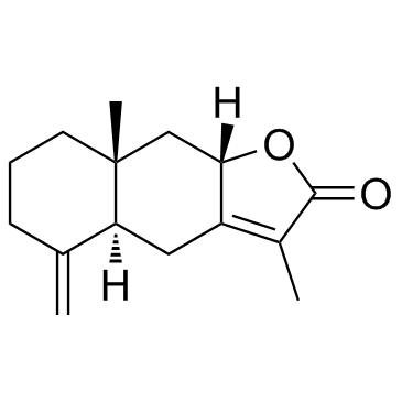 白术内酯II； 苍术内酯II