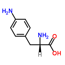 4-氨基-L-苯丙氨酸