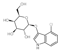 4-氯-3-吲哚基 beta-D-吡喃半乳糖苷