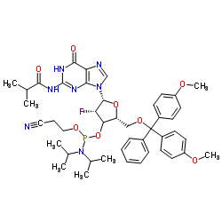 2'-F-dG(ibu) 亚磷酰胺单体