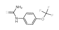 4-(三氟甲氧基)苯基硫脲