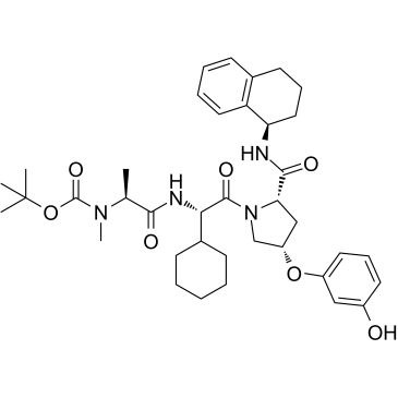 E3 ligase Ligand 14