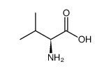 缬氨酸