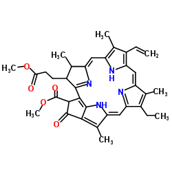 脱镁叶绿酸a甲酯