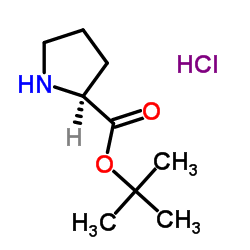 L-脯氨酸特丁酯盐酸盐