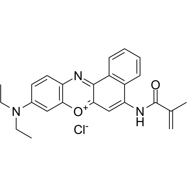 Nile Blue Methacrylamide