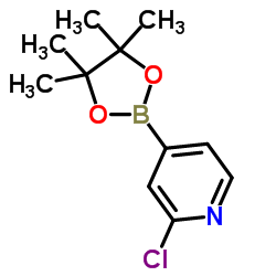 2-氯-吡啶-4-硼酸频哪醇酯