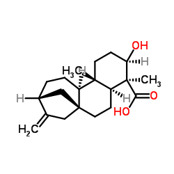 (3ALPHA,4ALPHA)-3-羟基贝壳杉-16-烯-18-酸