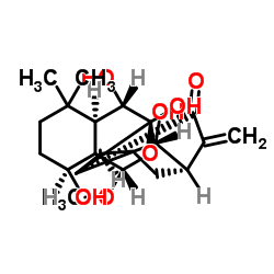 牛尾草素 F