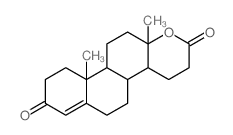 睾丸内酯