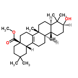 Pyrocincholic acid methyl ester