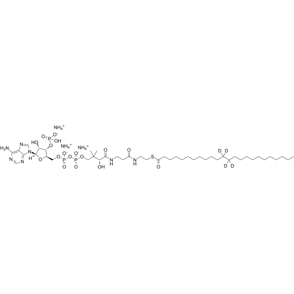 24:0 Coenzyme A-d4