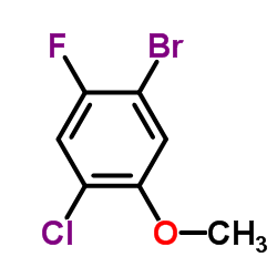 5-溴-2-氯-4-氟苯甲醚