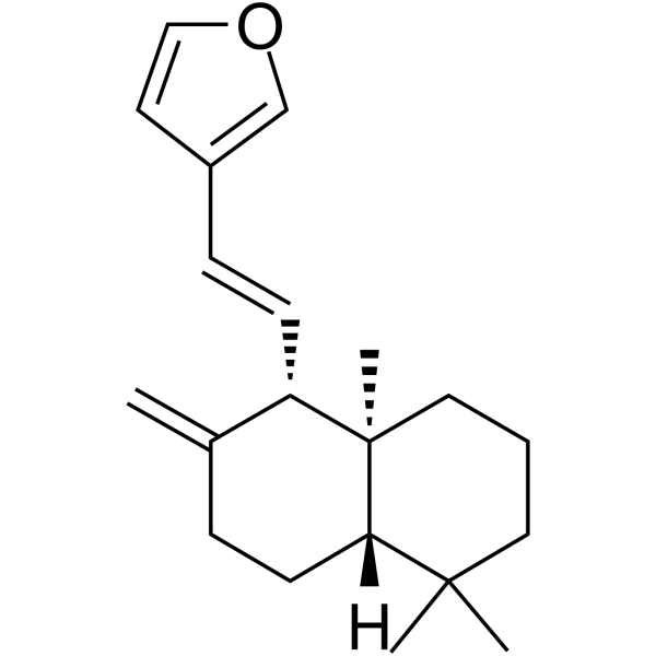 二羟丙茶碱E