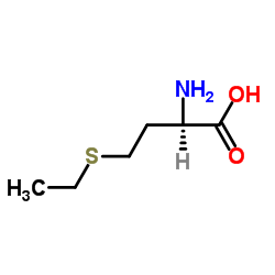 D-乙硫氨基酪酸