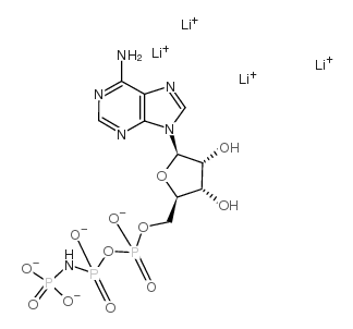 AMP PNP,Kir6阻滞剂