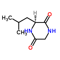 环(甘氨酰-L-亮氨酰)