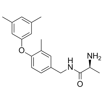 SGC2085