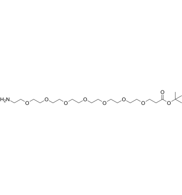 Amino-PEG7-t-butyl ester