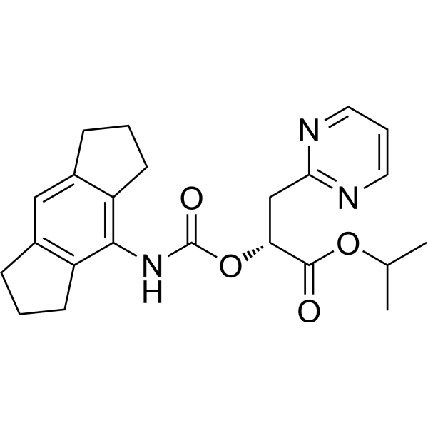 NT-0796