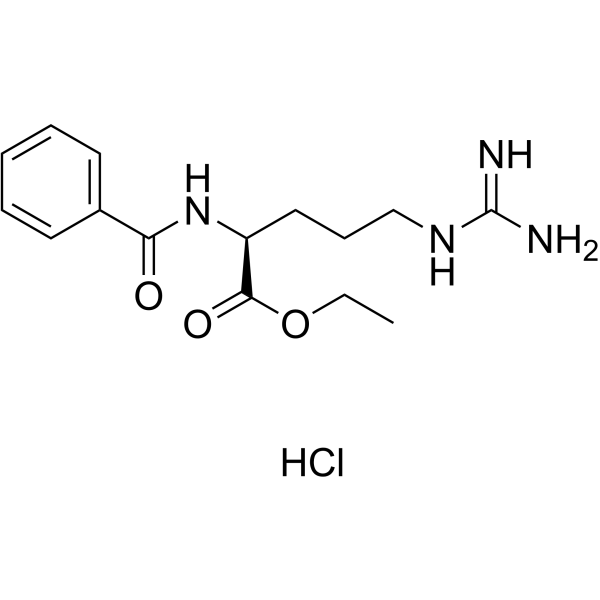 N{α}-苯甲酰-L-精氨酸乙酯盐酸盐