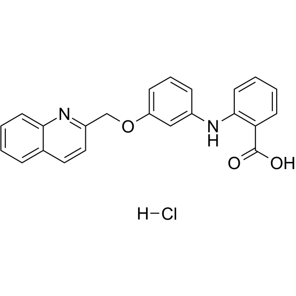 SR2640 盐酸盐