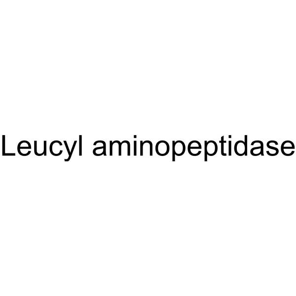 Leucyl aminopeptidase