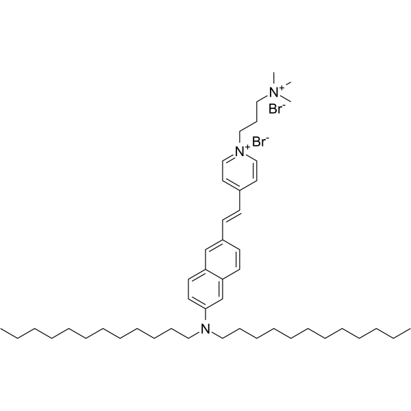 NEURODYE DI-12-ANEPPQ