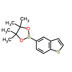 2-(1-苯并噻吩-5-基)-4,4,5,5-四甲基-1,3,2-二氧硼烷