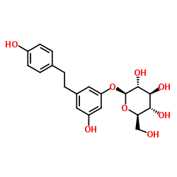 二氢白藜芦醇 3-O-葡萄糖甙