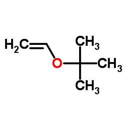 叔丁基乙烯基醚