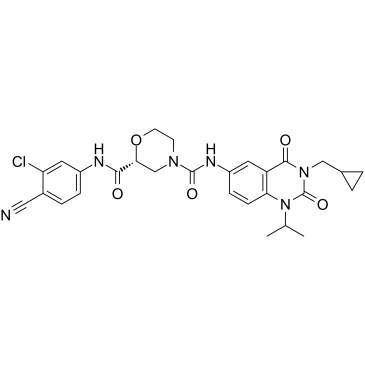 RORγt Inverse agonist 6