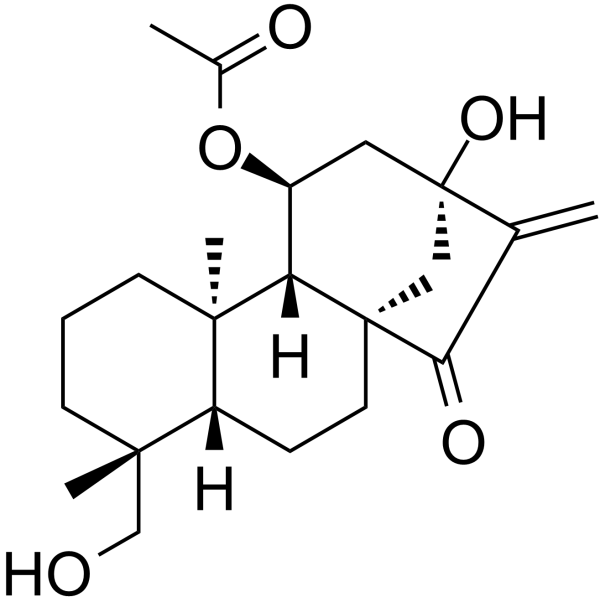 叶含乙酰瘿花香茶菜素 A