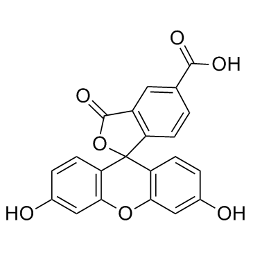 5-羧基荧光素