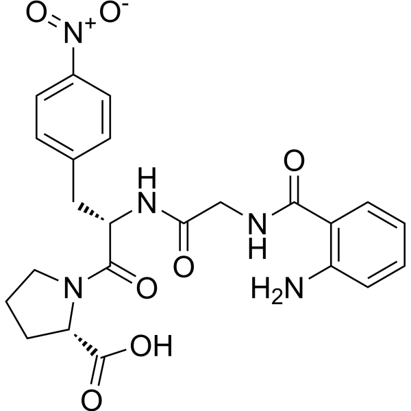 血管紧张素转化酶底物