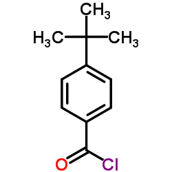 对叔丁基苯甲酰氯