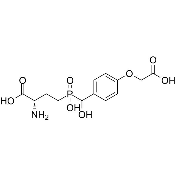 LSP4–2022