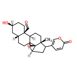 酯蟾毒精