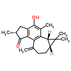 麻枫树酚酮B