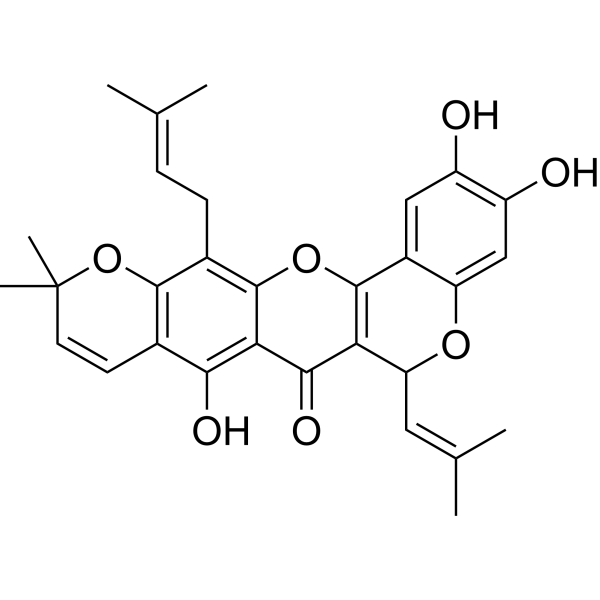 异叶波罗蜜环黄酮素