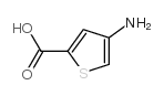 4-氨基噻吩-2-羧酸