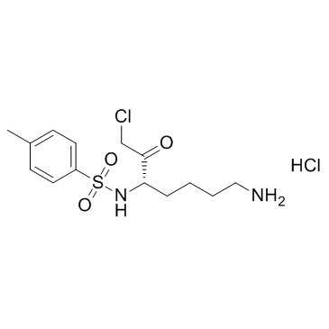 NAlpha-甲苯磺胺基-L-赖氨酸氯甲基酮盐酸盐