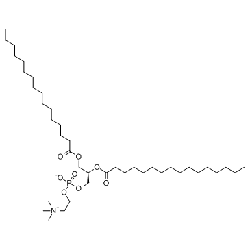1,2-二棕榈酰-sn-甘油-3-磷酰胆碱